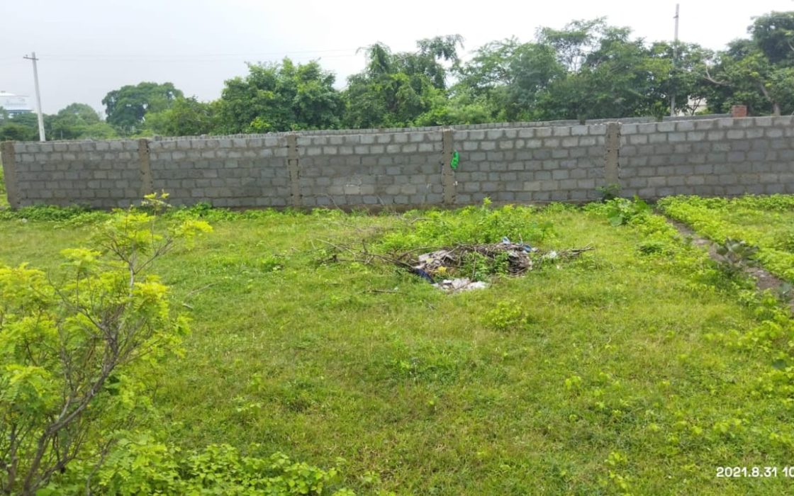 266 Sq. Yards Open Plot for Sale in Rampur – 40ft Wide, 60ft Long